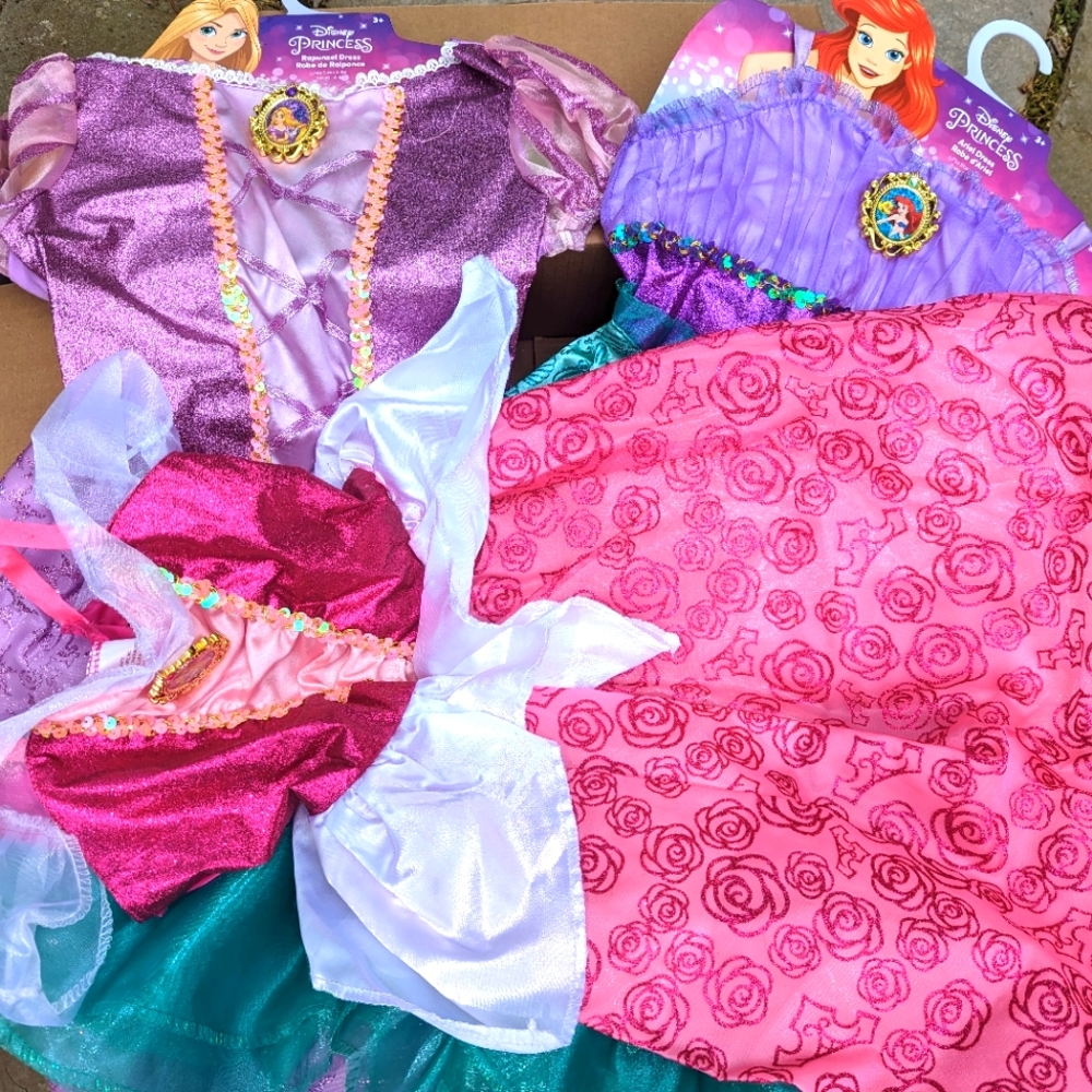 3 New Disney Princess Dresses, 3T